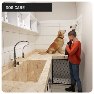 dog_care